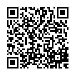 而且丧尸那被病毒腐蚀得无比脆弱的身体也无法抵挡锋锐的钢刀二维码生成