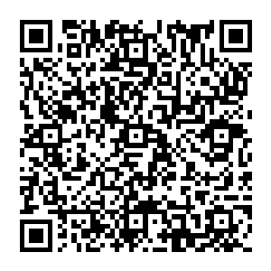 而且中国政府方面已经很明确的表示出了不会允许某一家非中国企业能在国内核电市场独大的态度二维码生成