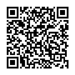 而且他也从金不凡的口中得知了这次论道大会的主要秘密二维码生成