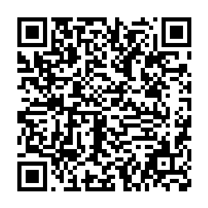 而且他也没有掌控全局的大局观――以前企业都是由你们一家子说了算二维码生成
