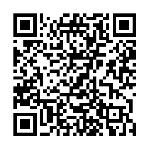 而且他们也算是自己正式踏入修真界遇到的第一批修真者二维码生成