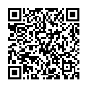 而且他们刚开始修炼的时候山门里面只需要他们拿出很少的资源二维码生成