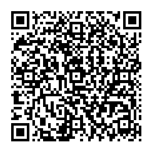 而且他们沧澜宗不可能没有把九大宗门不允许在上元大陆上出现第十个大宗门的事情告知许紫烟二维码生成