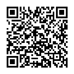 而且他们的尖端实力也会迅速的提升然胡不断的壮大二维码生成