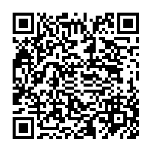 而且他们的精品仙丹价格也要比天狼主区这里的精品仙丹更加的贵二维码生成