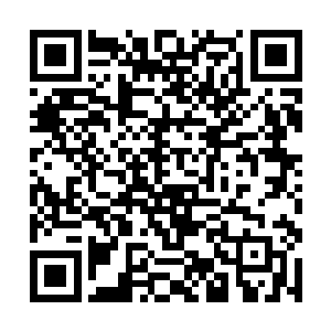 而且他们的身手通过这次的毒素压制还提升一个阶段二维码生成