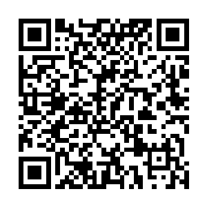 而且他们觉得以他们现在的境界在低级修炼区域就足够了二维码生成