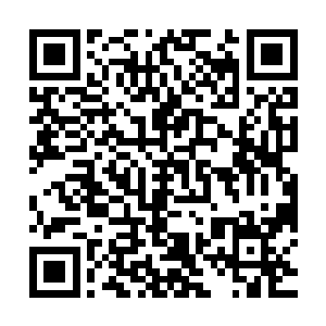 而且他手里储备的一些灵石本来是打算在拍卖会上购买血滴子的二维码生成