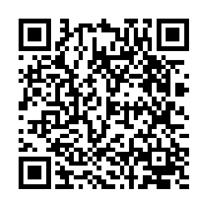 而且他种植药草的目的在于促进龙珠世界灵气的浓度二维码生成