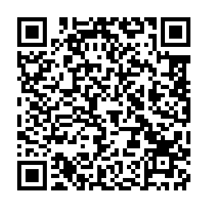 而且你们只怕还等着我再有其他动作好收集证据对付主母她们是吧二维码生成