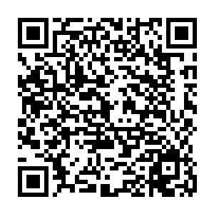而且你还在临时会议上专门强调各级党委政府不得干涉司法部门依法独立办案二维码生成