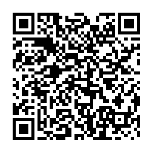 而且你还得在他心脏被刺穿后的那几秒潜在意识里不被拍死才有救二维码生成