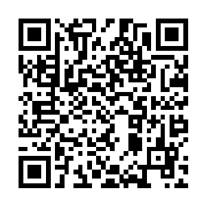 而且你这样路盲的举动你就不怕给叶家带来无尽的麻烦二维码生成