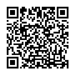 而且你这谎也实在撒得有点……全世界都知道你是化神境二维码生成