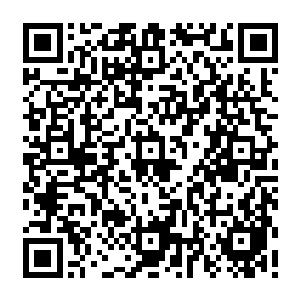 而且來自于九凰的呼唤也越來越频繁种种的一切都让他无法放下对于无上神界的牵挂二维码生成