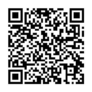 而且凡是来自那些宗门和豪门家族的修士也不予录取二维码生成