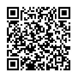 而且同样心中充满了怒火的塔尔塔罗斯也是发出一声咆哮二维码生成