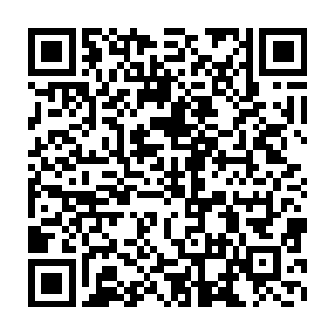 而且吕安他们三人在为张雄护法的时候也纷纷贡献出了自己的法宝二维码生成