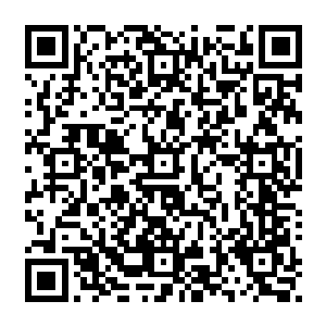 而且因为张过海大量投放和各方面负面消息引起小股东和股民恐慌抛售股票的缘故二维码生成
