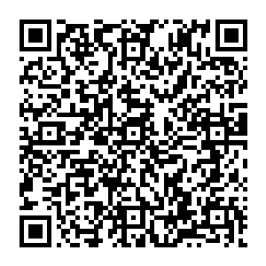 而且因为那幻形妖的重创他们就算能勉强再布置出天妖十杀阵只怕也很难发挥出能够奠定战局二维码生成