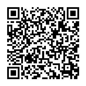 而且在仙主的围剿之下还能全身而退现在毫发无伤这人的实力不是一般的强二维码生成