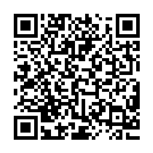 而且在偷袭斩首的时候总是因为有巨大的枪声而导致行动困难二维码生成