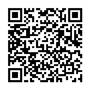 而且在日记里面也确实记载着这位丹宗始祖来自丹符宗二维码生成