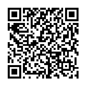 而且在短短的时间提升到了地仙二重天境界实力也是不差二维码生成