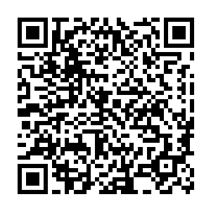 而且在那妖王一众义兄弟都还在世的时候就把他的皮制成皮甲穿在身上二维码生成