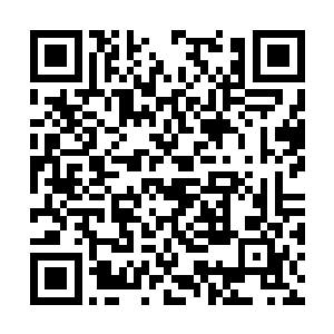 而且她也没有在衣服上加上苍澜宗的标志千面娇妻二维码生成