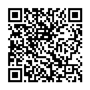 而且她还发现了即使是苏小乔和程雨馨这两个修为不低的修真者二维码生成