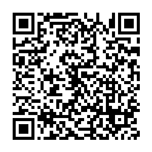 而且定国公更是将沈苍苍当做掌上明珠……虞家纵使是京城里大商贾户二维码生成