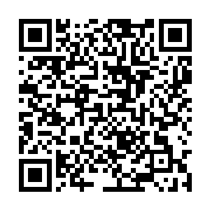 而且对方前面的几次行动都已经提高了教皇的警惕二维码生成