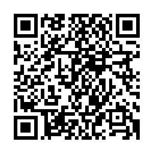 而且对气的使用更多的是用来辅助而不是当作主要的进攻手段二维码生成