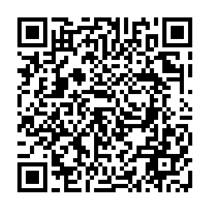 而且就算是你们圣廷的教皇老头也没有那个资格使唤我们铁牙佣兵团的人二维码生成