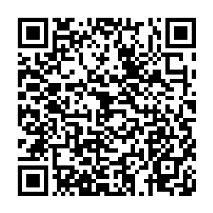 而且就连这大千世界的无数种族都是女娲娘娘以生命大道的力量创造而出二维码生成