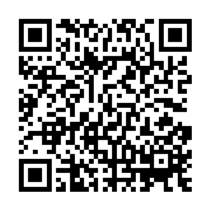 而且就连阵法师公会的人私下也是完全触碰不到徽章的材料的二维码生成