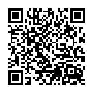 而且展现出来的气势和实力完全碾压了古籍上记载的人仙法身二维码生成