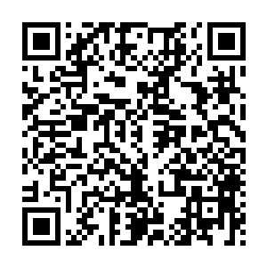 而且已经许久许久没有再大动干戈的老家伙自然也忍不住要动手了二维码生成