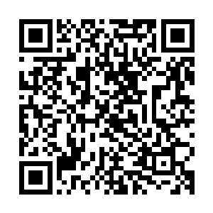 而且希望成为本校第一个在国外的生物类期刊上发表论文的教师二维码生成
