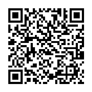 而且平时作为依仗的坚韧身躯也无法挡住周御龙的攻击二维码生成