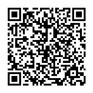 而且当初修罗是十二战王之中最为隐秘的修罗王差点害的苏凡还有龙王双双死去二维码生成