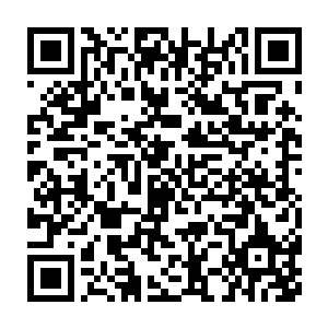 而且很可能就是出现在这个进出口的位置……引发了内部的剧烈动二维码生成