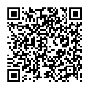 而且很显然他在rank中的那一套无往不利的打法对职业选手显然起不到多大作用二维码生成