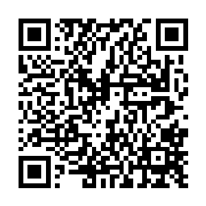 而且我们的总指挥官王世子先生已经在母舰上恭候多时二维码生成