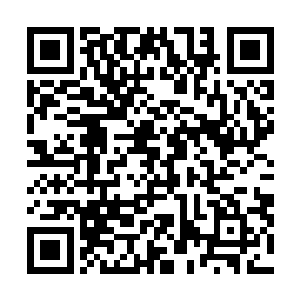 而且我们省厅行动队也在宋州进行了一个星期的摸底暗访二维码生成