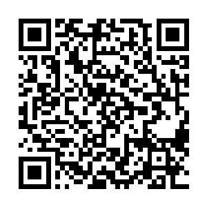 而且我曾经还发下誓不会让任何动物或者人类使用一叶草二维码生成