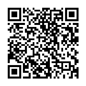 而且我现在还认为你在迈阿密的表演都只不过是一些魔术而已二维码生成