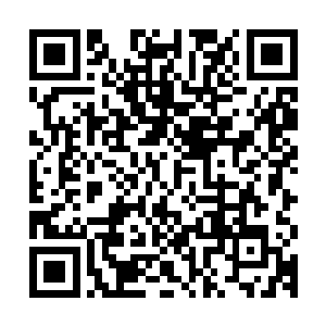 而且才卸任宣传部长时间不长的角色去就成了顺理成章的事情了二维码生成