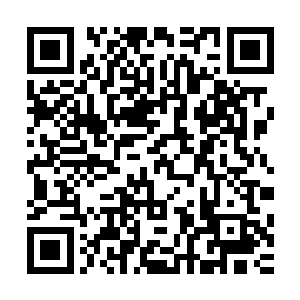 而且抓走的方式也完全的诠释了为什么林诗语的身边有着黑甲二维码生成